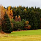 Z čekané ze židličky.