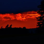 Z večerní čekané.