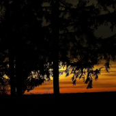 Z večerní čekané.