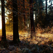 Z čekané ze židličky.