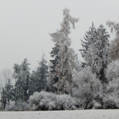 Z čekané ze židličky.