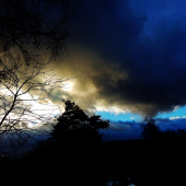 Z večerní šoulačky.