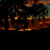 Z večerní čekané.