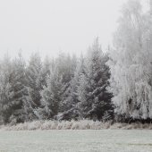 Z čekané ze židličky.
