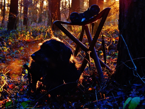 Z čekané ze židličky.