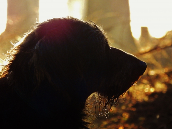 Z večerní šoulačky.