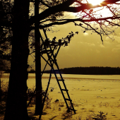 Z ranní šoulačky.