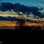 Z večerní čekané.