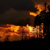 Z večerní čekané.