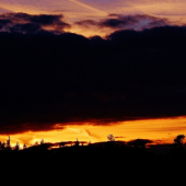 Z večerní čekané.