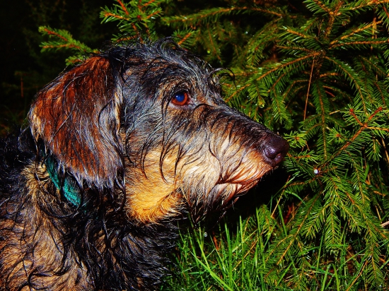 Z čekané ze židličky.