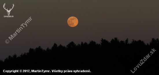 Z čekané.