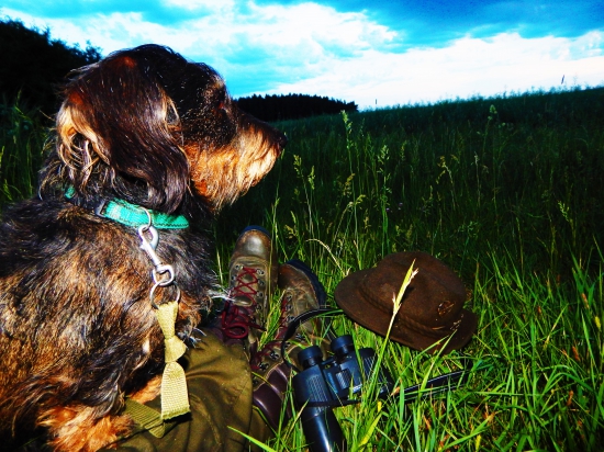 Z dnešní čekaný u řepky.