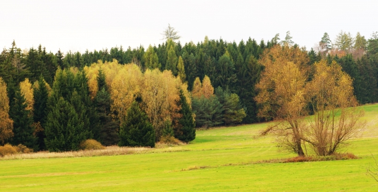 Z fotolovu.