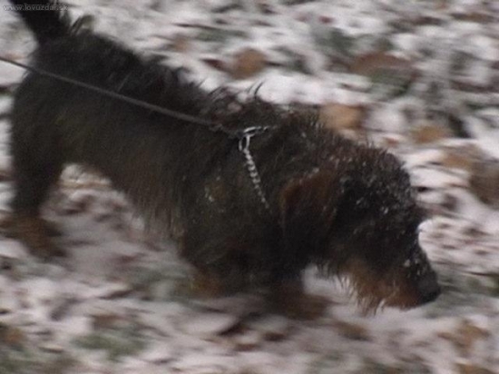 Vzpomínka na Beníka.