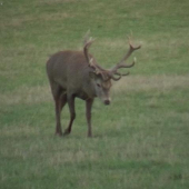 Vzpomínka na říji 2.