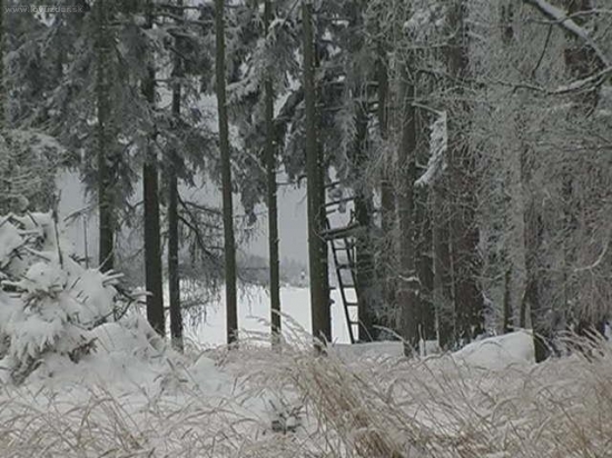 Cestou na noční čekanou.
