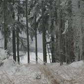 Cestou na noční čekanou.