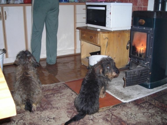 Ještě jednou vzpomínka na Beníka.