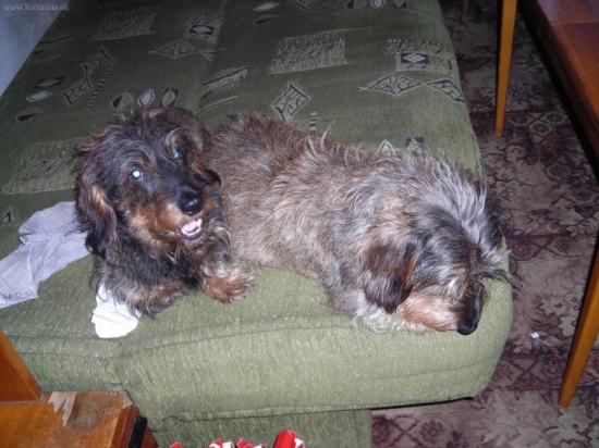 Poslední společné foto.