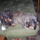 Poslední společné foto.