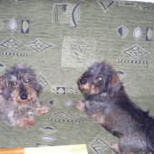 Dva kámoši. Dnes už jen jeden.