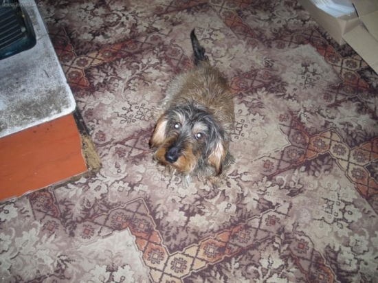 Muj nej kamarád Endík.