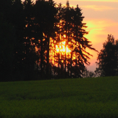 Pod večerní čekaná