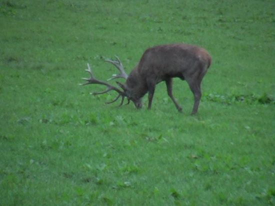 Dnes ráno.