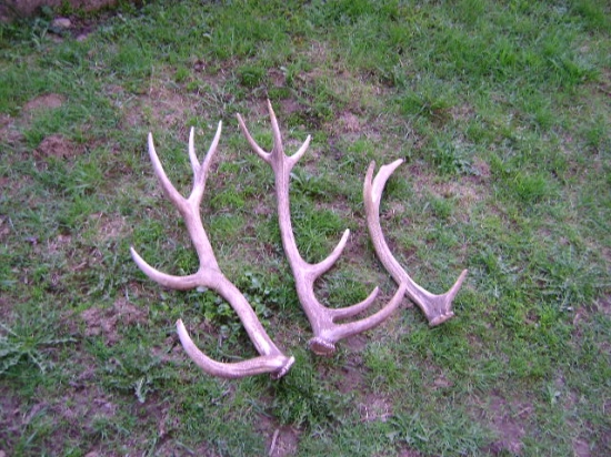 12  10  a 8 torak dnes vsetko stare