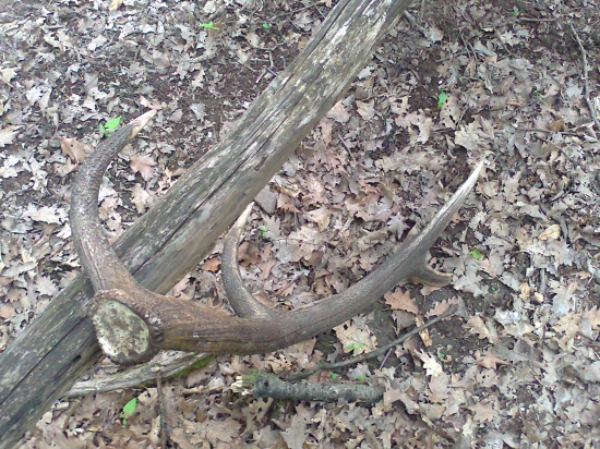 velky dnesny  10 rak