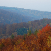 západ slunce, mlhavo...