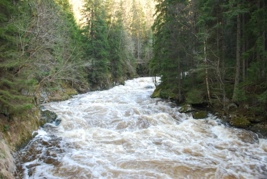 řeka Vydra, Šumava