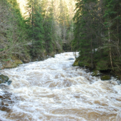 řeka Vydra, Šumava