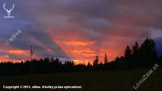 Svetelná šou