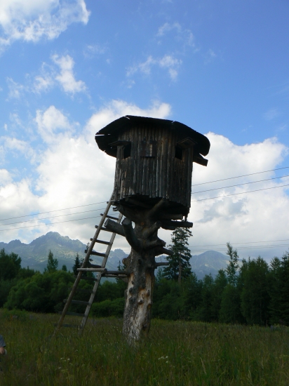 K Ivanovi chrbtom, k lesu čelom