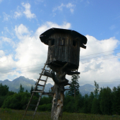 K Ivanovi chrbtom, k lesu čelom