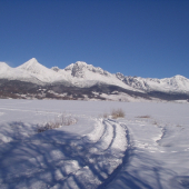 Vysoké Tatry