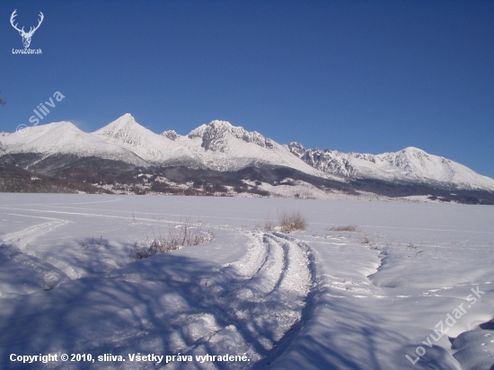 Vysoké Tatry