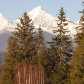 Malý, väčší, najväčší