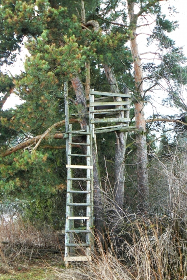 Posed z 20.storočia