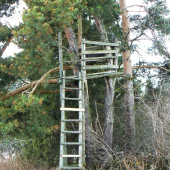 Posed z 20.storočia