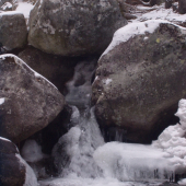 Rieka Poprad na začiatku