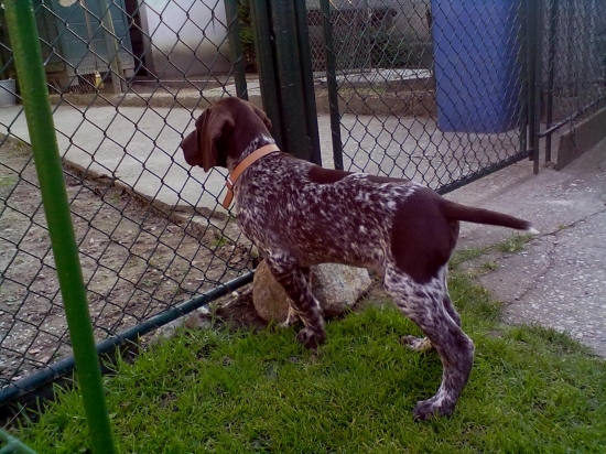 DIK z Potôňskej lúky