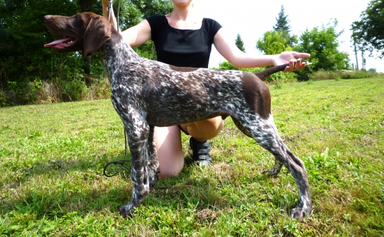 Učíme výstavný postoj