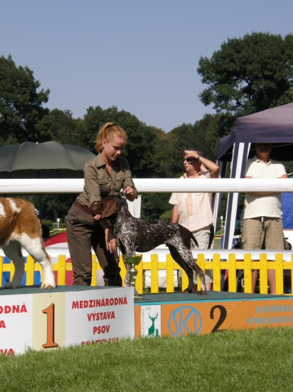 DIK z Potôňskej lúky