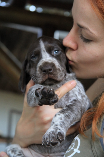Princezná Esther z Budmeríc