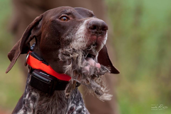 Keď sa z kraťasa stane fousek