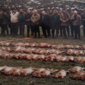 spomienka