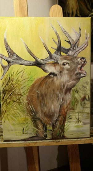 práca mojej pani manželky